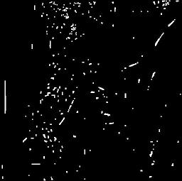 FindMinimum lena