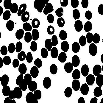 image cells LPE