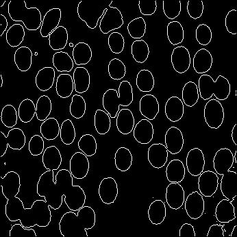 image cells LPE