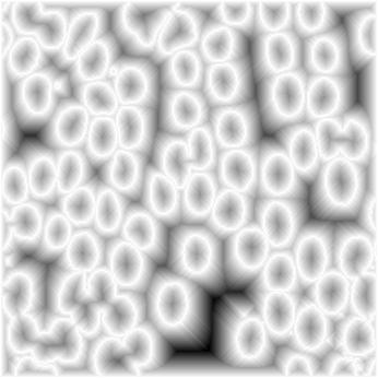 image cells LPE