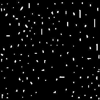 image cells LPE